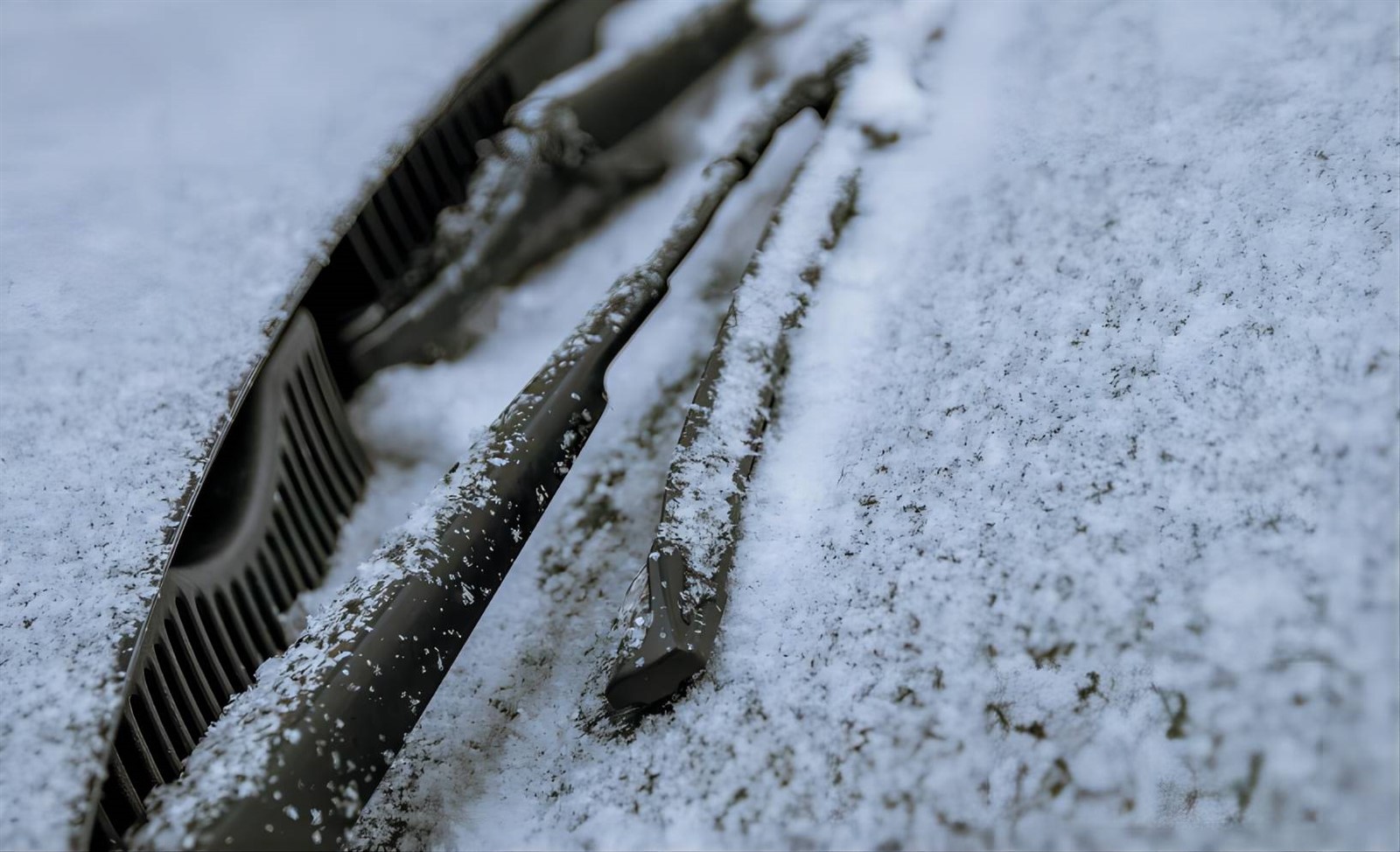 winter wiper blade